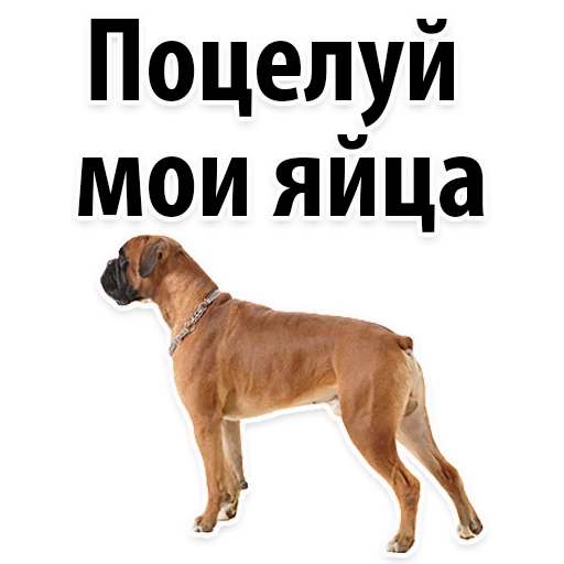 Sticker from the "Молодёжный сленг" sticker pack