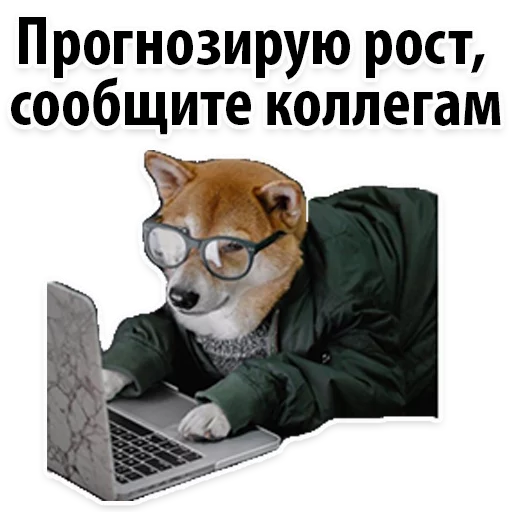 Sticker from the "Молодёжный сленг" sticker pack