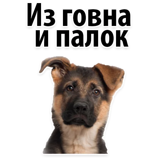 Sticker from the "Молодёжный сленг" sticker pack