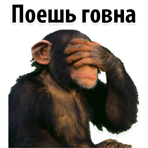 Sticker from the "Молодёжный сленг" sticker pack