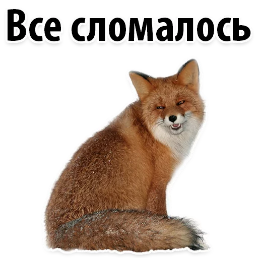 Sticker Молодёжный сленг