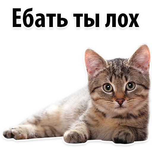 Sticker from the "Молодёжный сленг" sticker pack