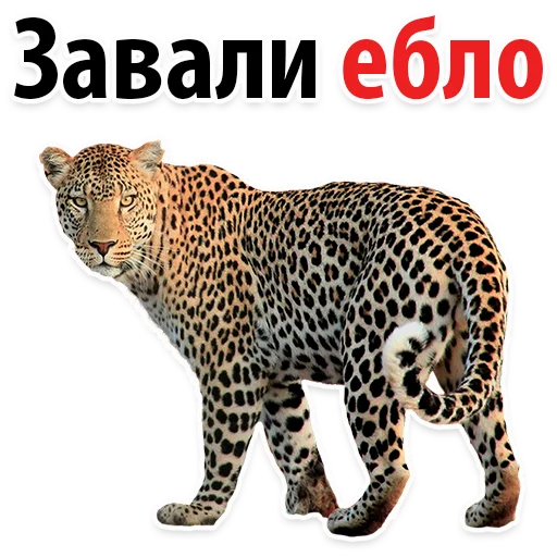 Sticker Молодёжный сленг