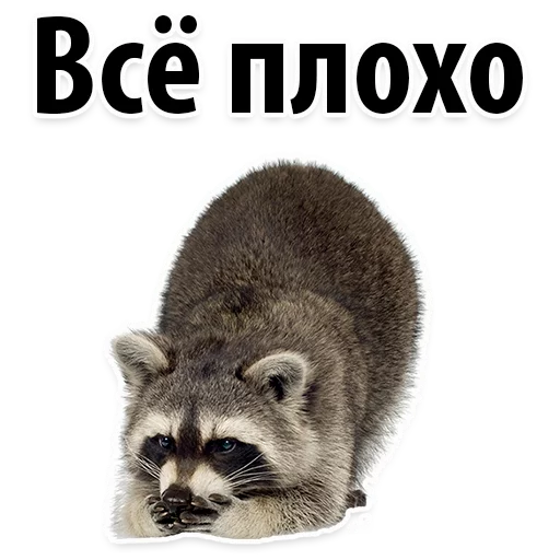 Sticker Молодёжный сленг