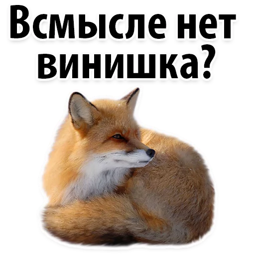 Sticker Молодёжный сленг