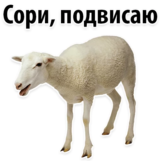 Sticker Молодёжный сленг