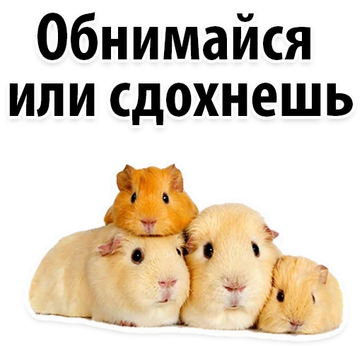 Sticker Молодёжный сленг