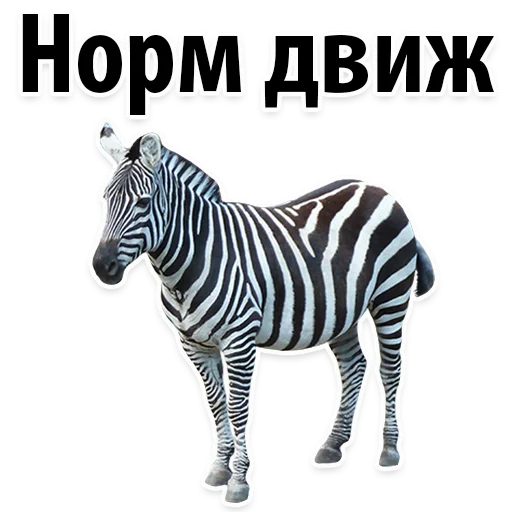 Sticker from the "Молодёжный сленг" sticker pack