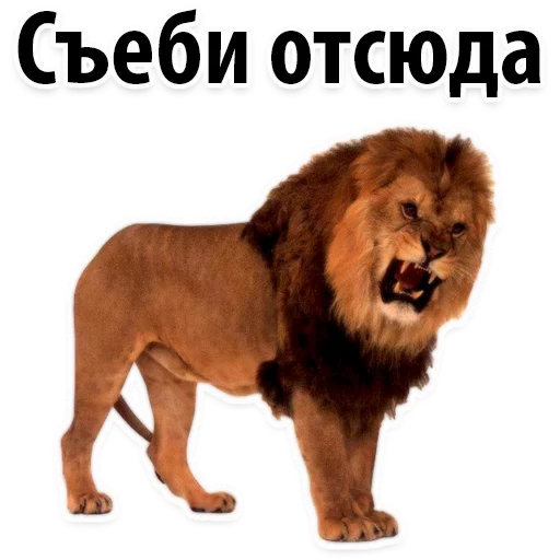 Sticker from the "Молодёжный сленг" sticker pack