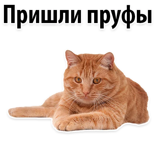 Sticker Молодёжный сленг