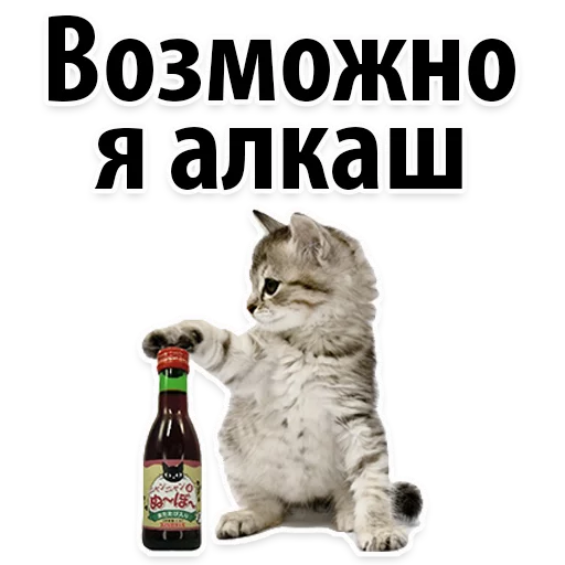 Sticker Молодёжный сленг