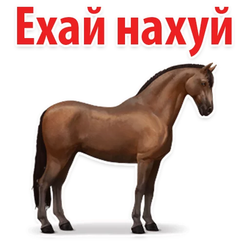 Sticker Молодёжный сленг