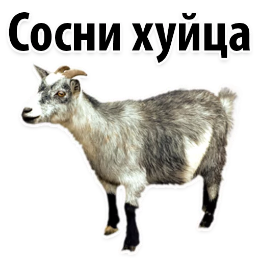 Sticker from the "Молодёжный сленг" sticker pack