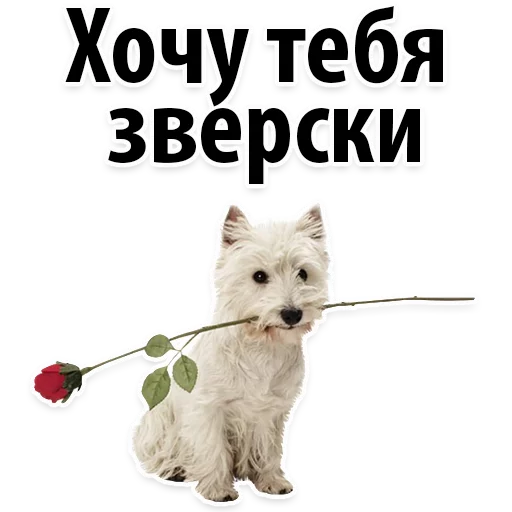 Sticker Молодёжный сленг