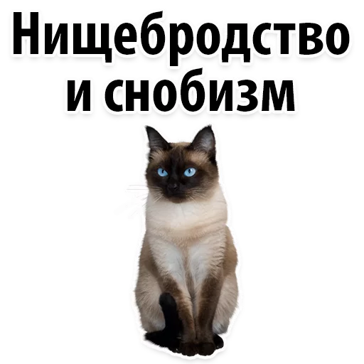 Sticker Молодёжный сленг