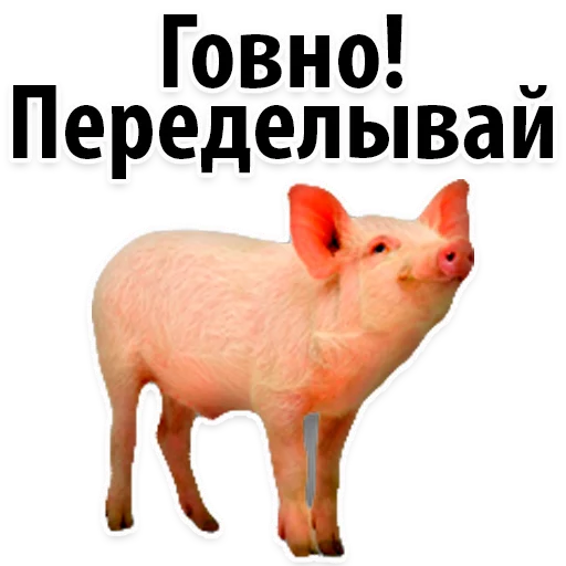 Sticker from the "Молодёжный сленг" sticker pack