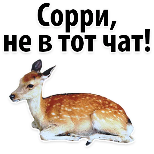 Sticker Молодёжный сленг