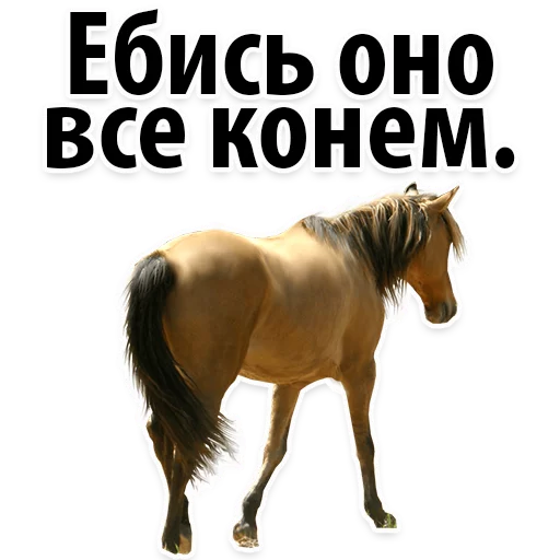 Sticker Молодёжный сленг