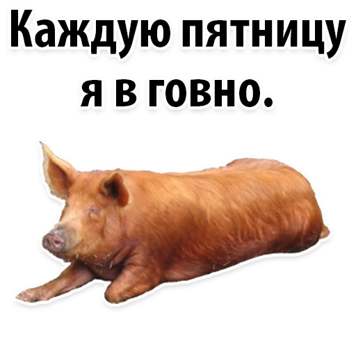 Sticker Молодёжный сленг