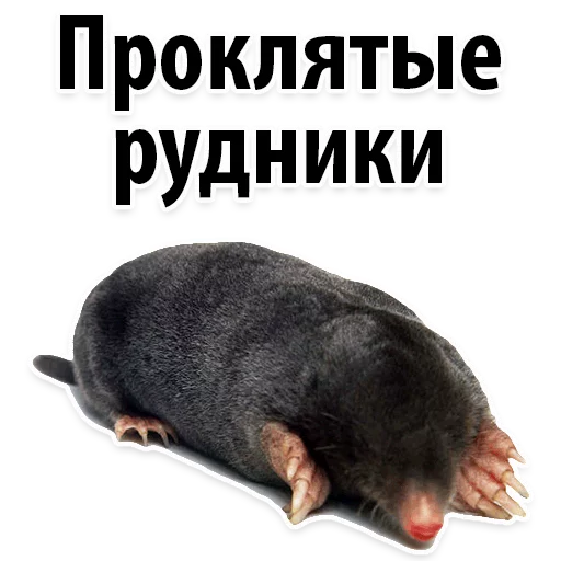 Sticker Молодёжный сленг