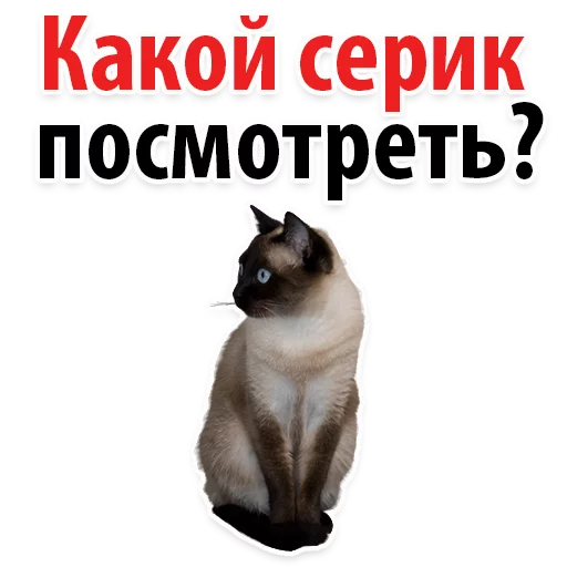 Sticker Молодёжный сленг