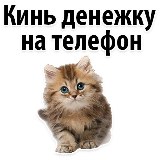 Sticker Молодёжный сленг