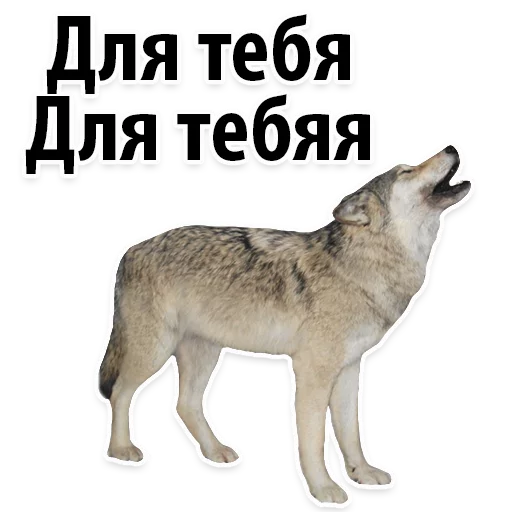 Sticker from the "Молодёжный сленг" sticker pack