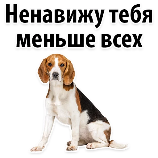 Sticker Молодёжный сленг