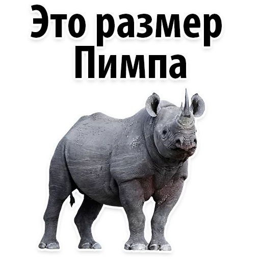 Sticker Молодёжный сленг