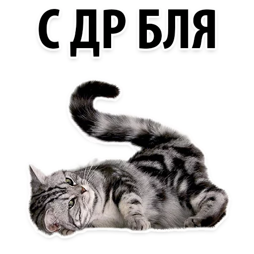 Sticker from the "Молодёжный сленг" sticker pack