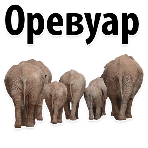 Sticker from the "Молодёжный сленг" sticker pack