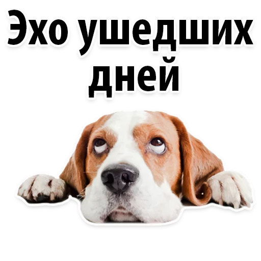 Sticker Молодёжный сленг