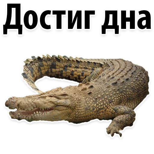 Sticker from the "Молодёжный сленг" sticker pack