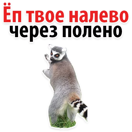 Sticker Молодёжный сленг