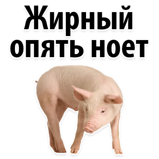 Sticker from the "Молодёжный сленг" sticker pack