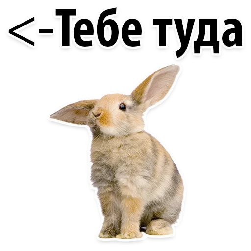 Sticker from the "Молодёжный сленг" sticker pack