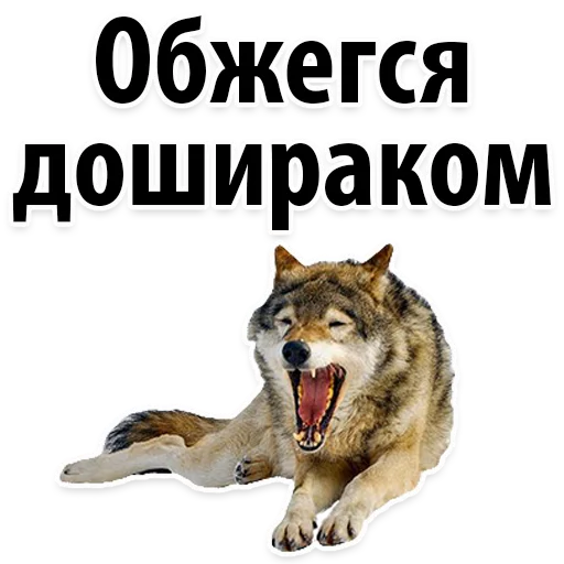 Sticker from the "Молодёжный сленг" sticker pack