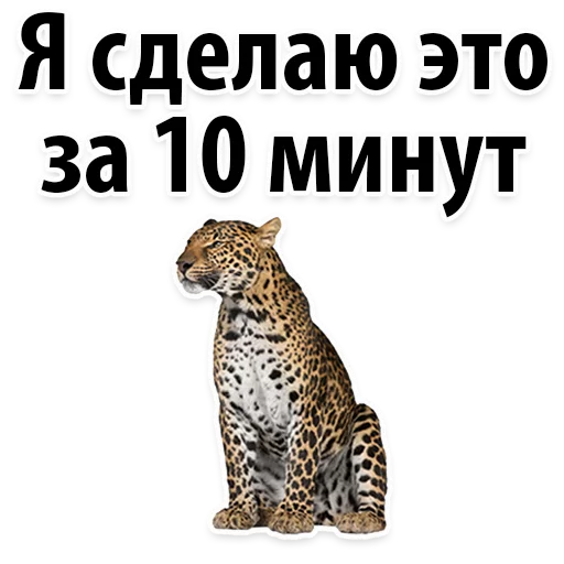 Sticker Молодёжный сленг