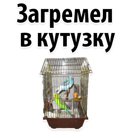 Sticker Молодёжный сленг