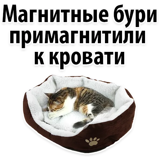 Sticker Молодёжный сленг