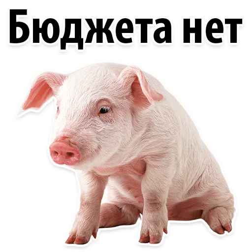 Sticker from the "Молодёжный сленг" sticker pack