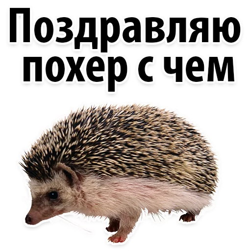 Sticker Молодёжный сленг