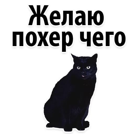 Sticker Молодёжный сленг