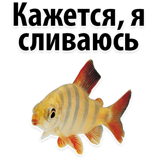 Sticker Молодёжный сленг