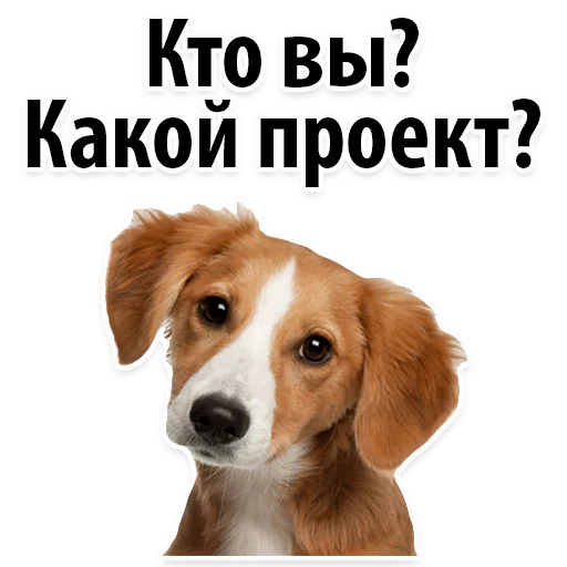 Sticker Молодёжный сленг