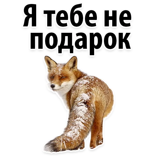 Sticker Молодёжный сленг