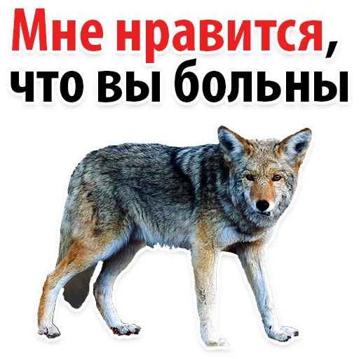 Sticker Молодёжный сленг