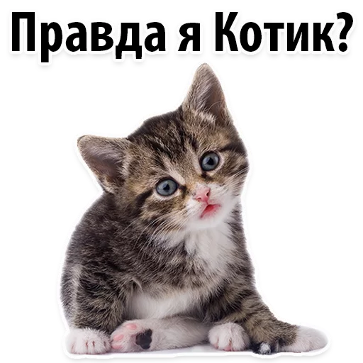 Sticker Молодёжный сленг