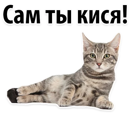 Sticker Молодёжный сленг