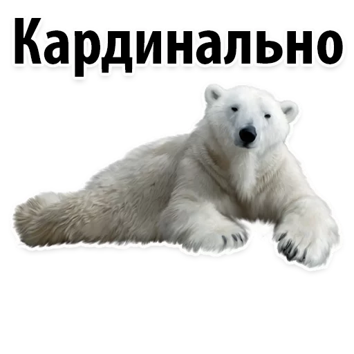 Sticker Молодёжный сленг